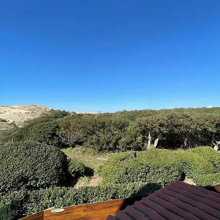 Patio Seignosse: Beachfront Forest Retreat With Shared Pool * Seignosse